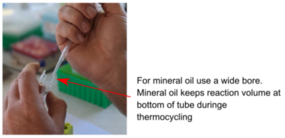 Image 7 Accurately aspirating and dispensing mineral oil for PCR amplification process