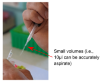 Image 6 Accurately aspirating PCR reaction mix with low-cost manual pipettor design