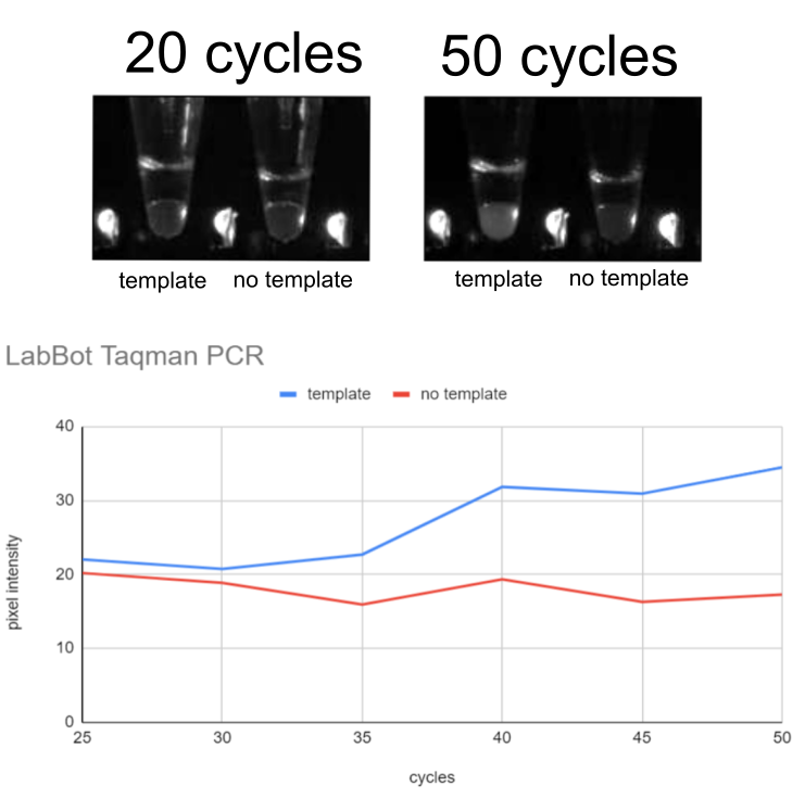 Image 15 LabBot TaqMan Real-Time PCR example data